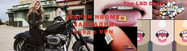 соль ск Куртамыш