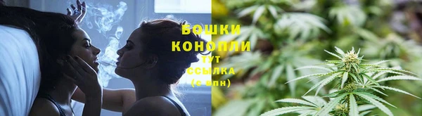 МДПВ Куровское