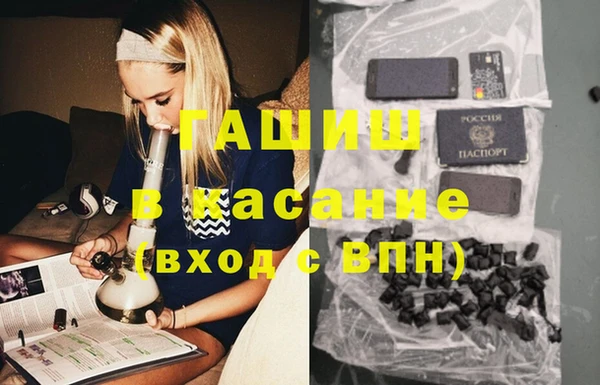 стаф Курчалой