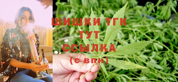 соль ск Куртамыш