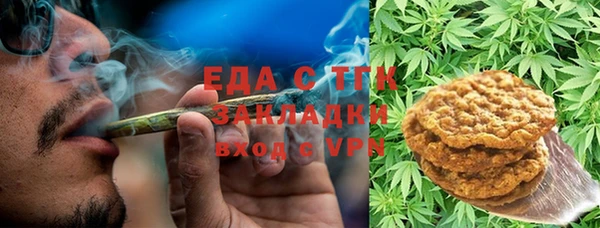 стаф Курчалой