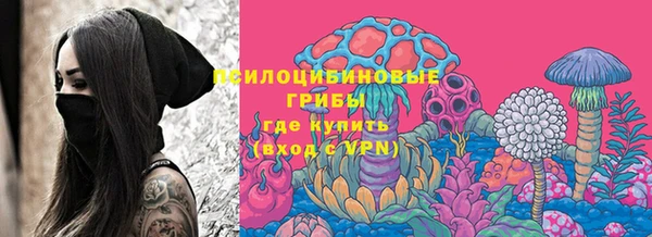 стаф Курчалой