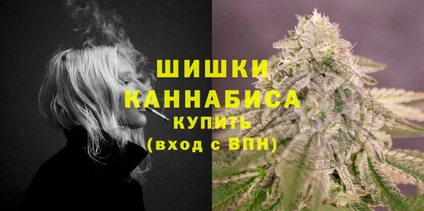 стаф Курчалой