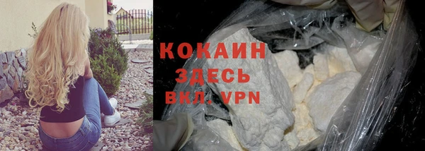 соль ск Куртамыш