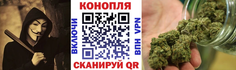 Конопля сатива  Петропавловск-Камчатский 